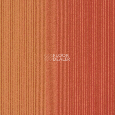 Ковровая плитка Interface Fastforward 608135 Pumpkin фото 1 | FLOORDEALER